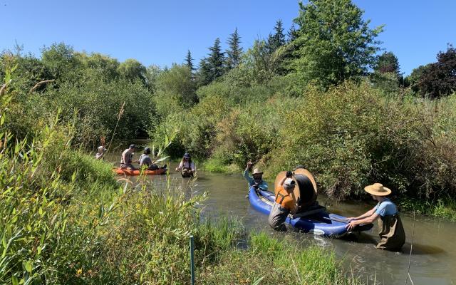 Researchers are dragging a canoe with equipment through a stream