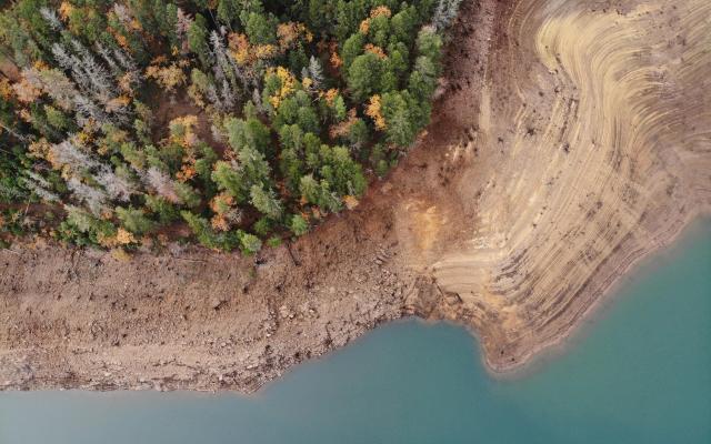 A birds-eye view of conifer trees next to the shore of a reservoir.
