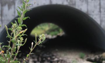 stormwater management 