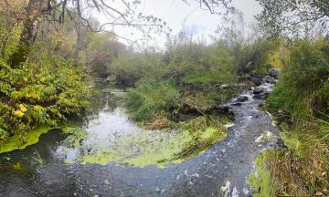 Photo of Rock Creek flowing in the winter