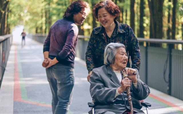 Person in wheelchair