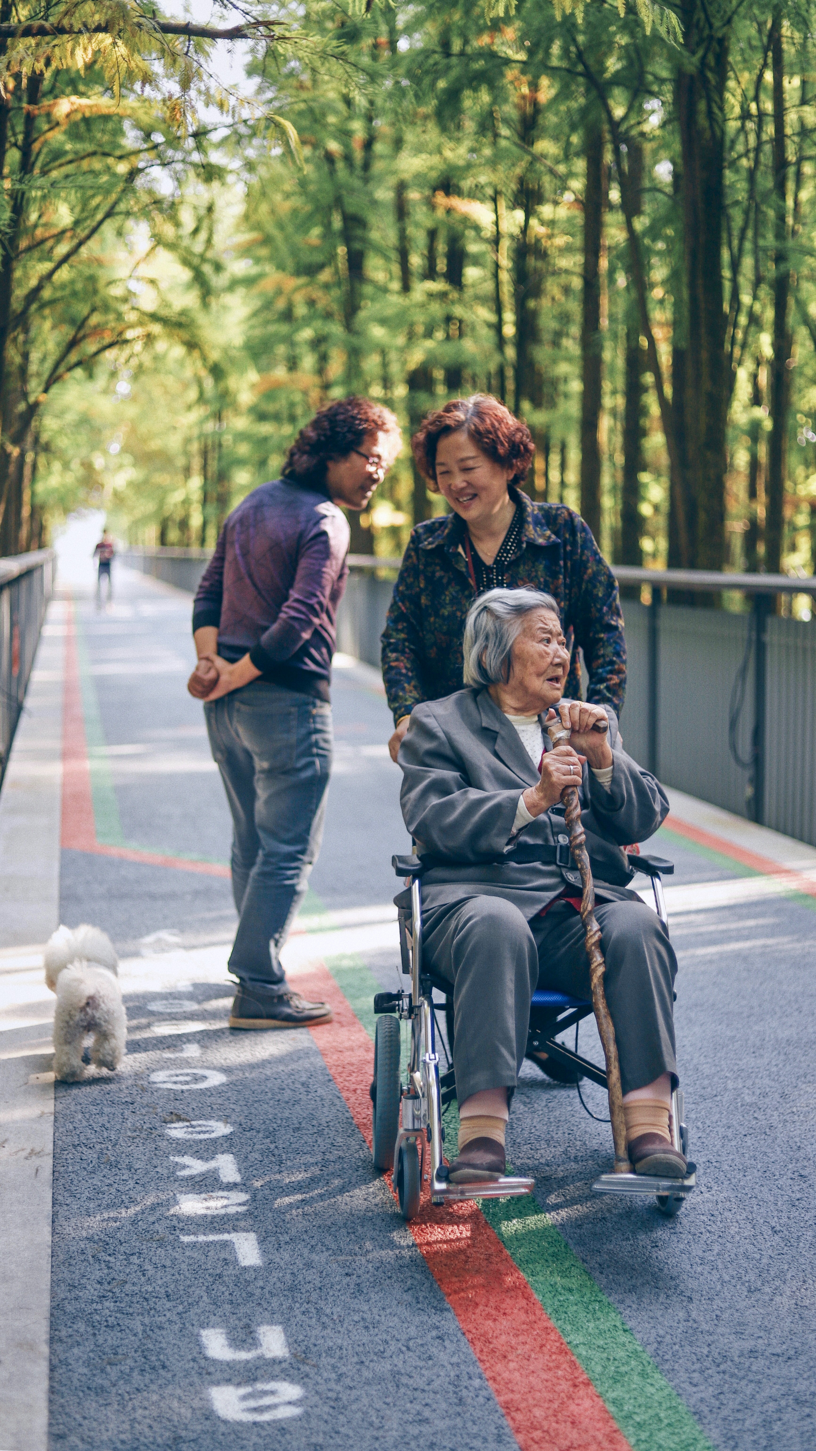 Person in wheelchair