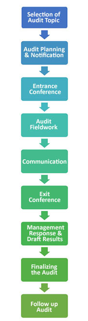 Vertical Chart of Audit Process