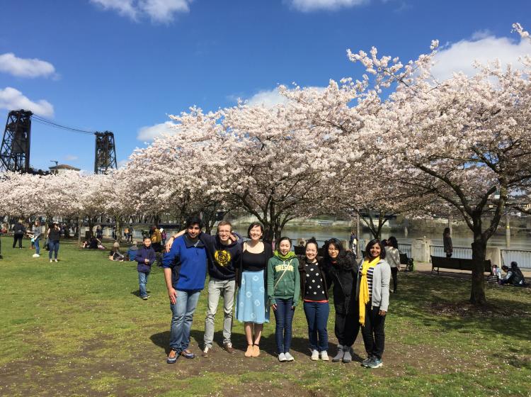 Cherry Trees in Downtown Portland