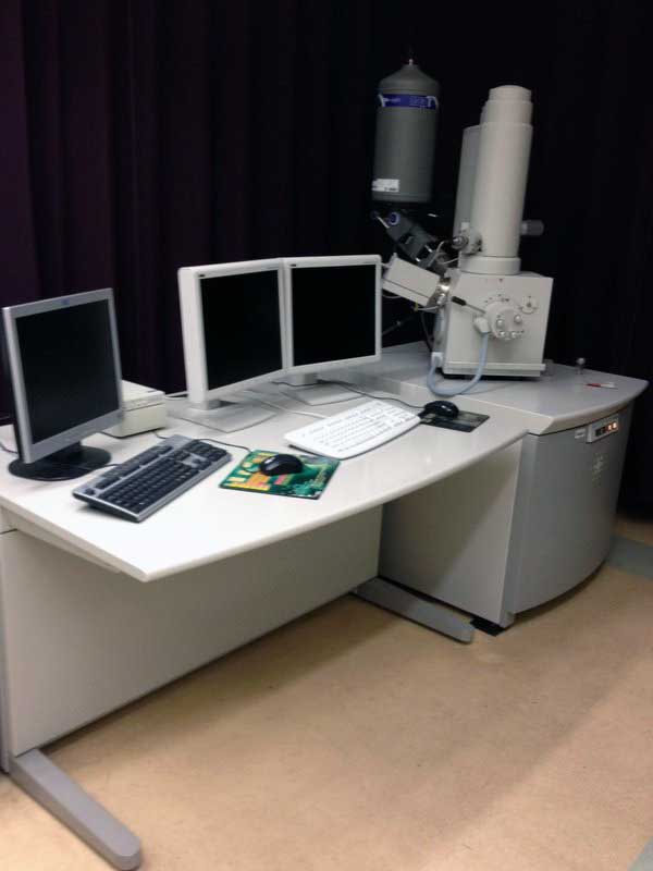 FEI Sirion FESEM microscope