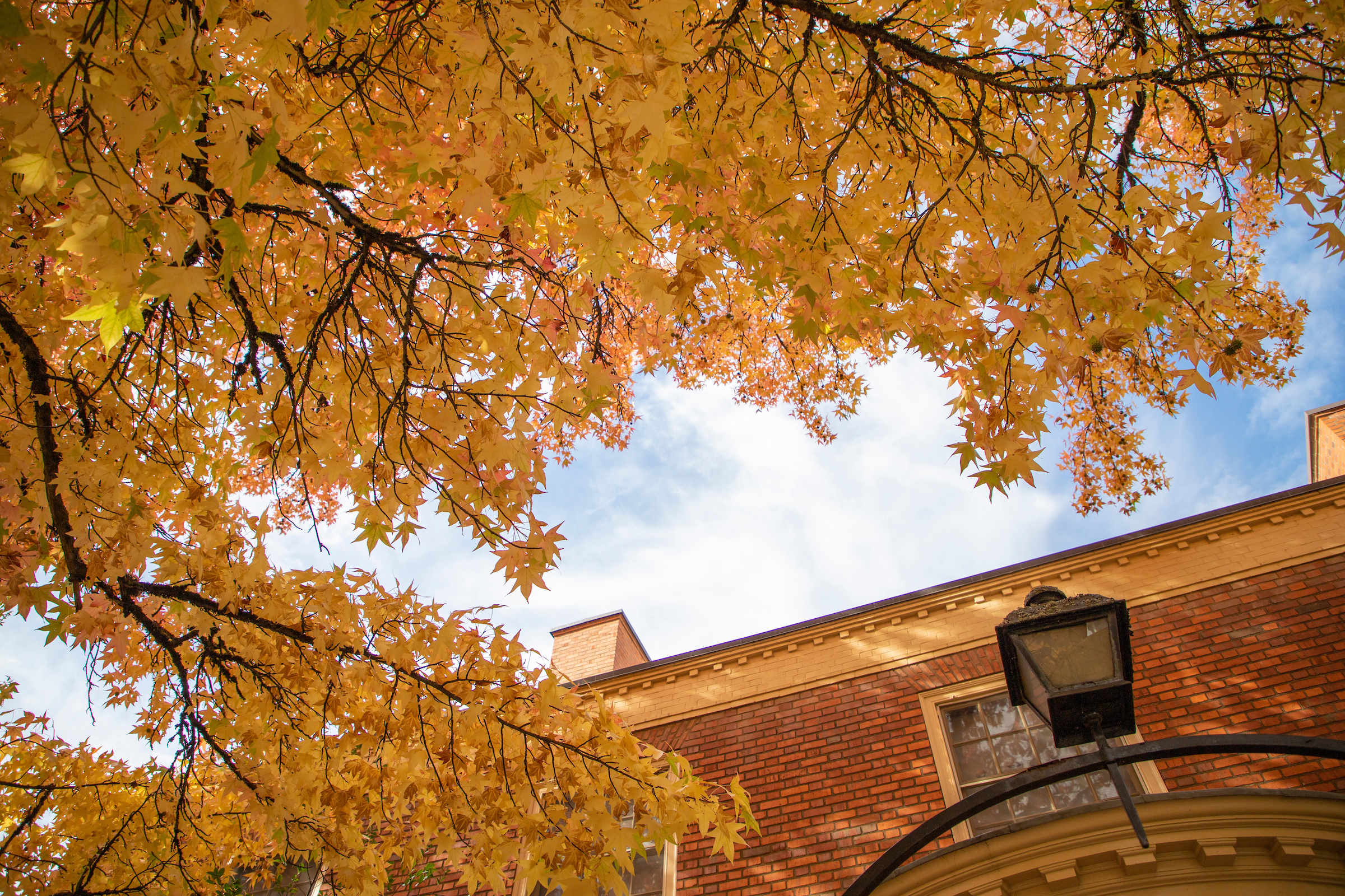 2023 Fall Header Image