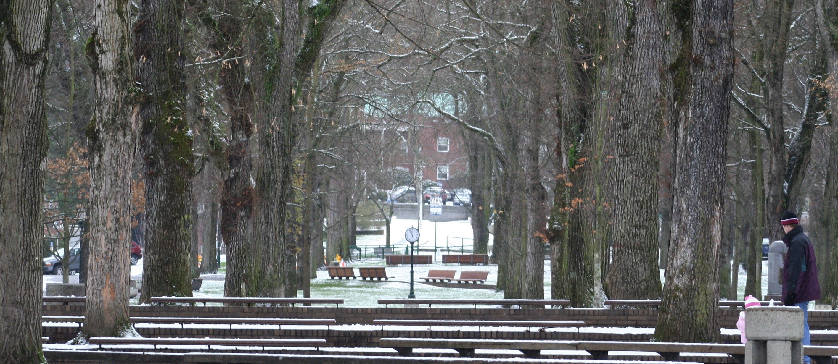 Winter Scene