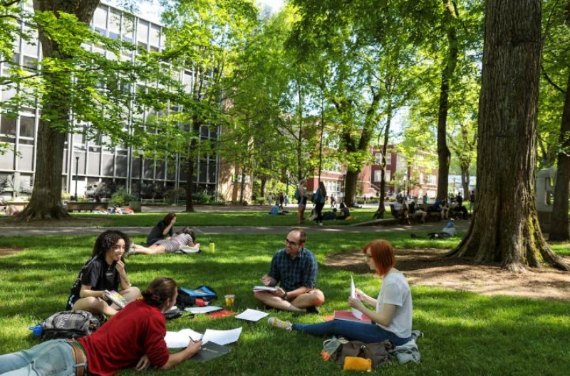 Students Studying