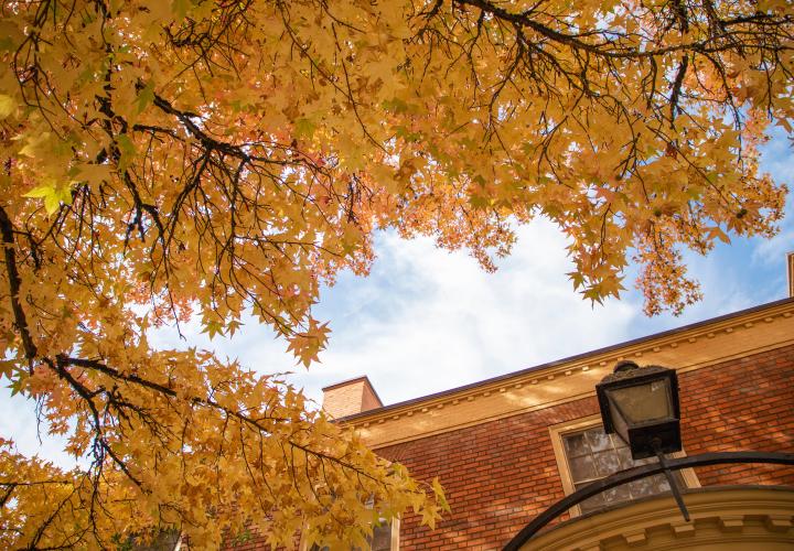 2023 Fall Header Image