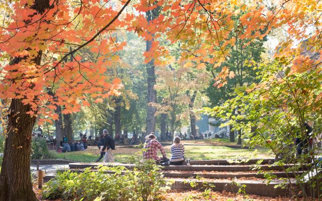 Fall scene
