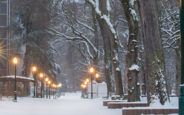 PSU park blocks snow day