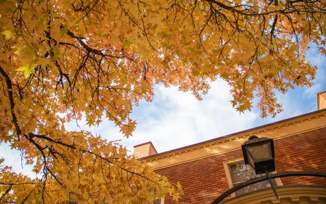 2023 Fall Header Image