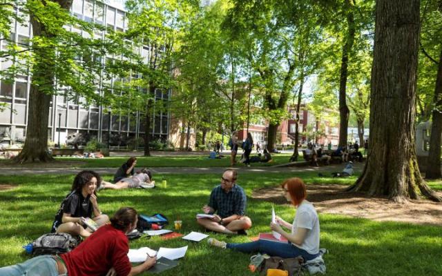 Spring Term 2024 Image