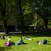 spring on campus - in recline
