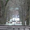 Winter Scene