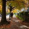 Fall Sidewalk