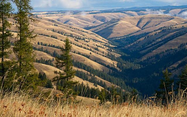 Blue Mountains by Miles Hemstrom
