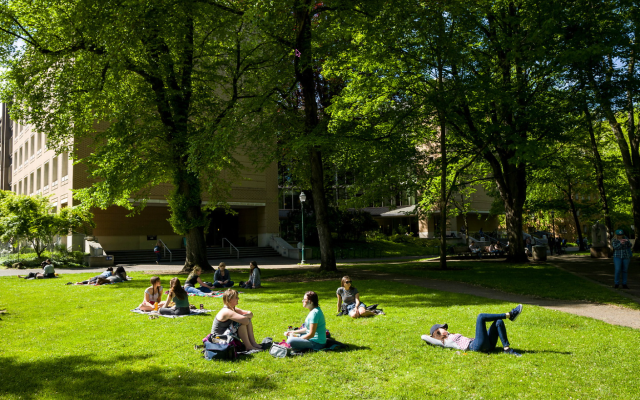 People sitting and lying on the green grass under trees in the park blocks on campus on a sunny day.