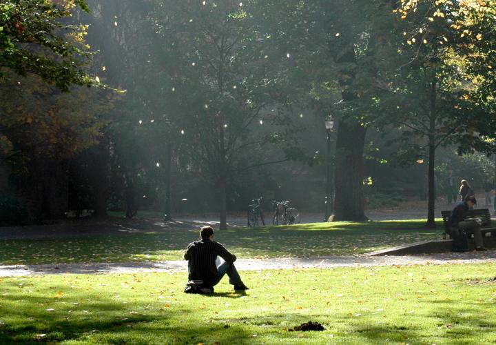Picture of student sitting on grass in a ray of sunlight