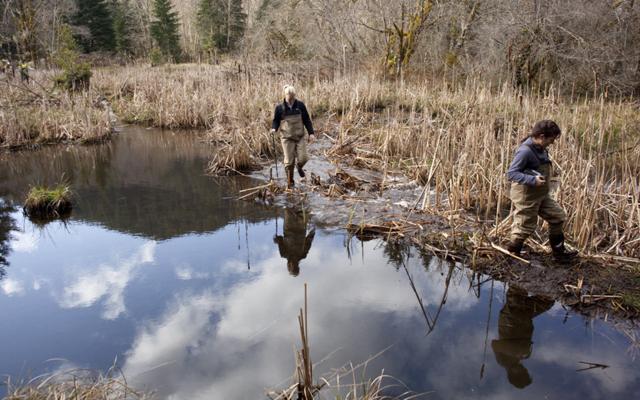 Two people walking along a lake sampling the water