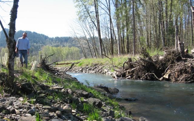 A man standing on the banks of a stream