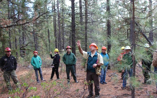 Group of people in hardhats in a forest, with man in front point upwards