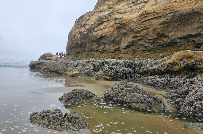Hug Point intertidal zone