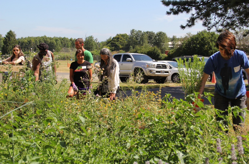 Students and instructor observing plants in garden