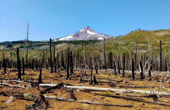 Mt. Jefferson