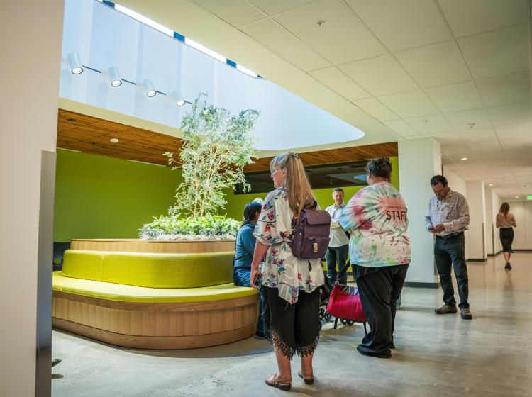 Basement atrium with people admiring tree