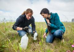 Two women measuring liquid on rooftop garden