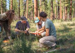 Professor and students in with measuring tools in forested area