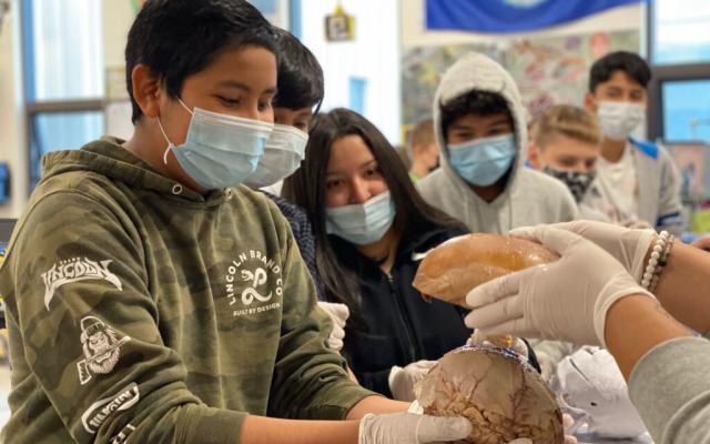 Schoolchild holding a brain during demonstration