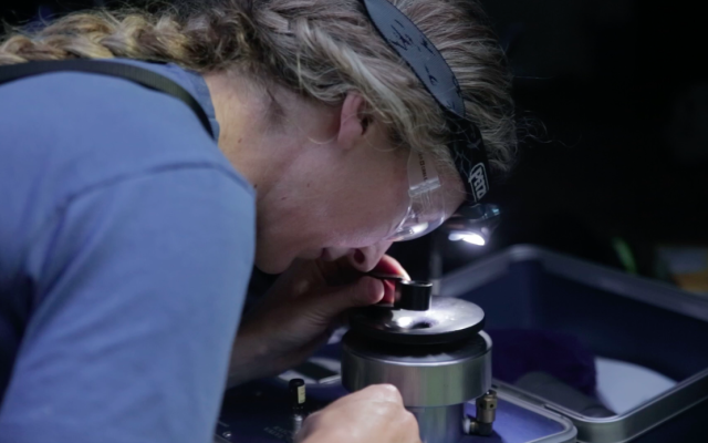 Student looking at something under microscope