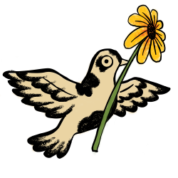 Little cow pigeon folding a flower