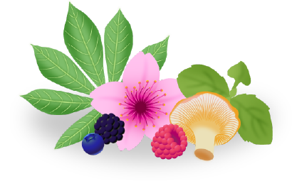 decorative illustration