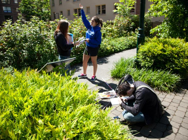 Honors students in the field.