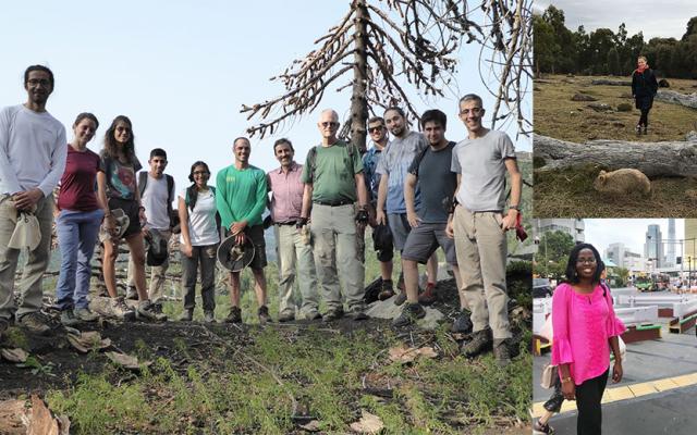Students participate in global environmental research