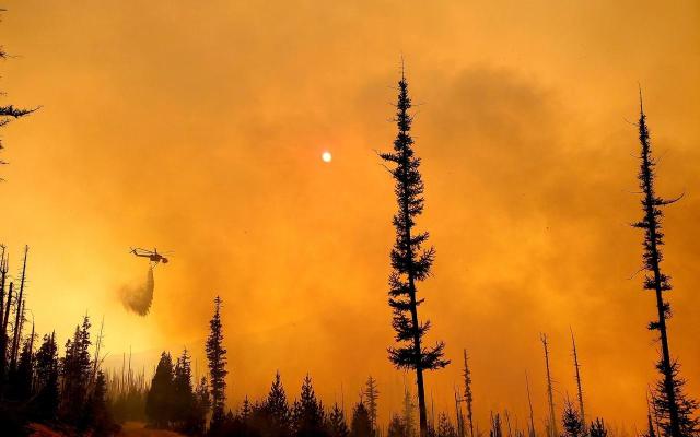U.S. Forest Service photo of Lion's Head fire, September 2020