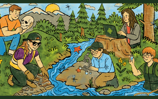 illustration