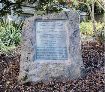 Mossy Vanport Rock