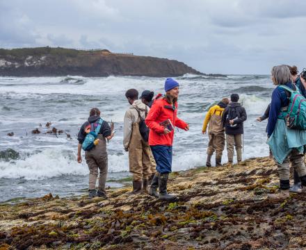 Portland State University biology students in waders conducting coastal field research on a rocky shoreline.