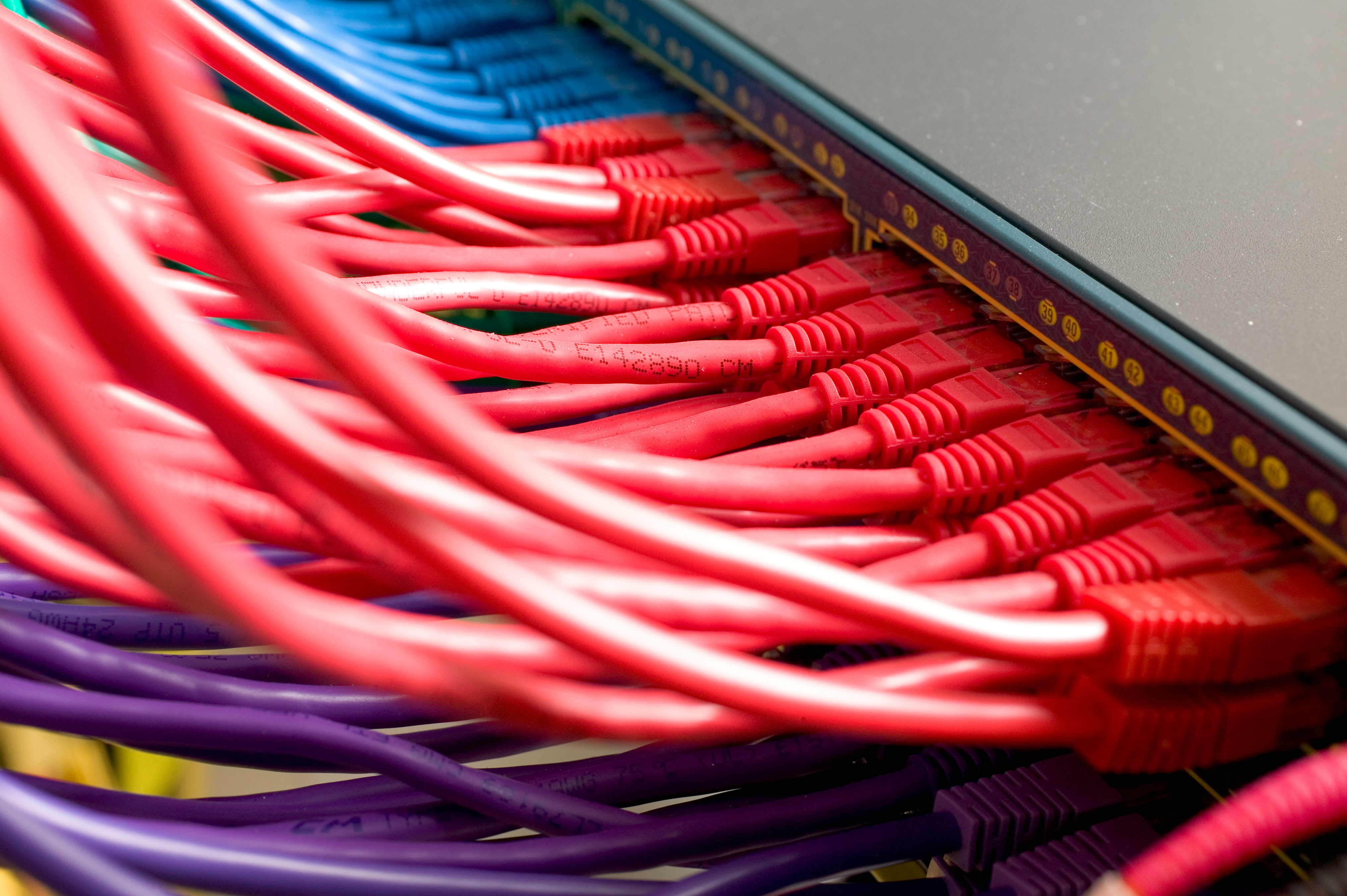 multi-colored wires