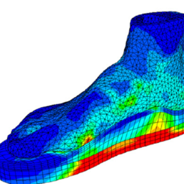 3D model of foot and pressure points