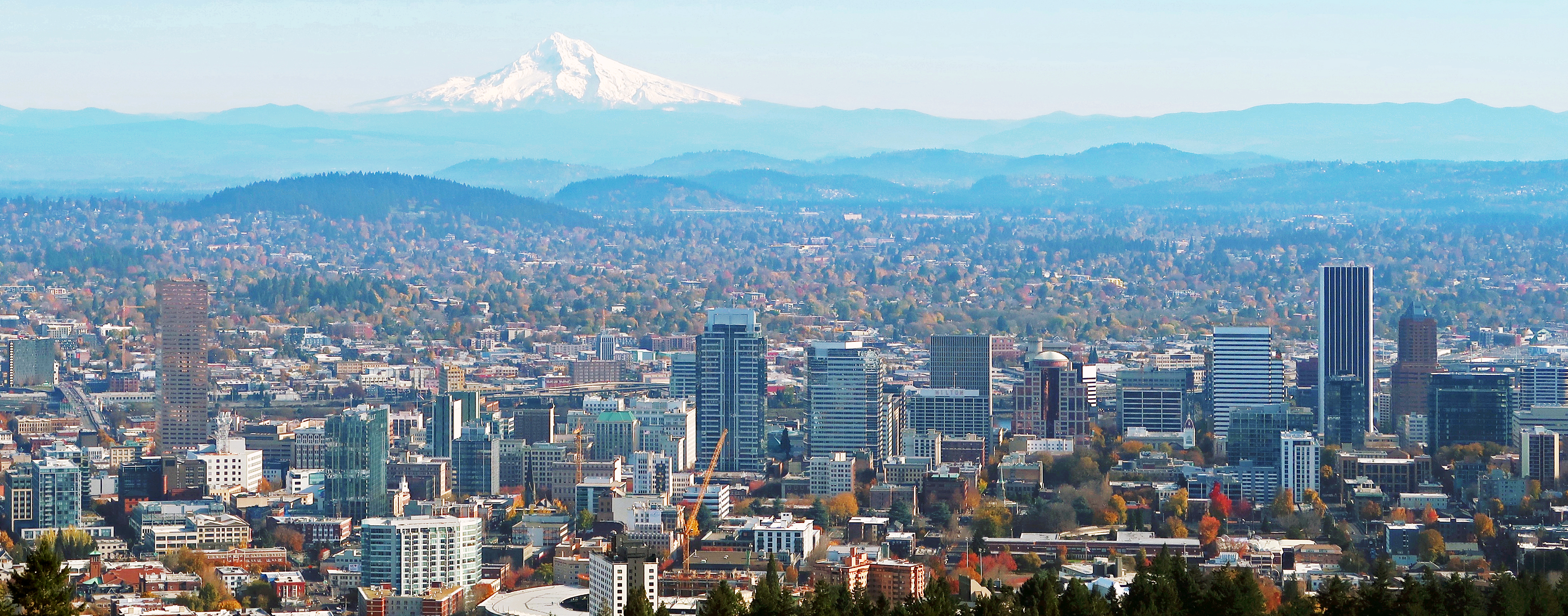 an image of mt hood from the pittock mansion