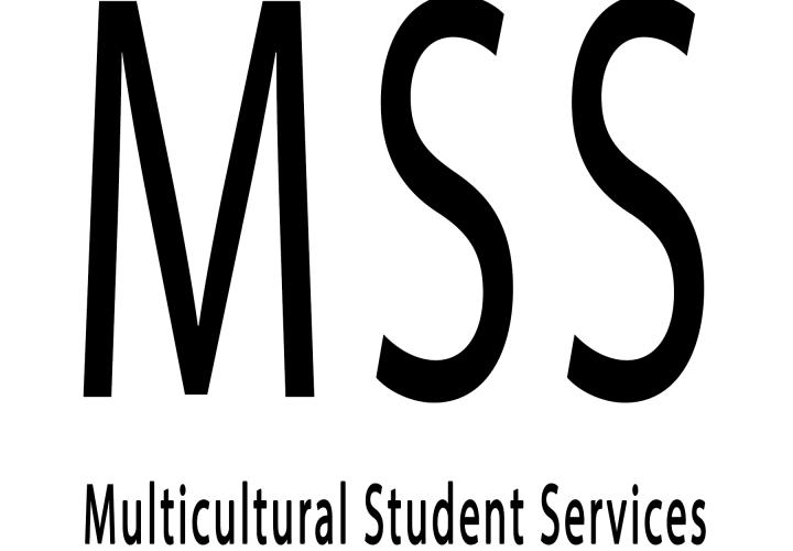 MSS Image
