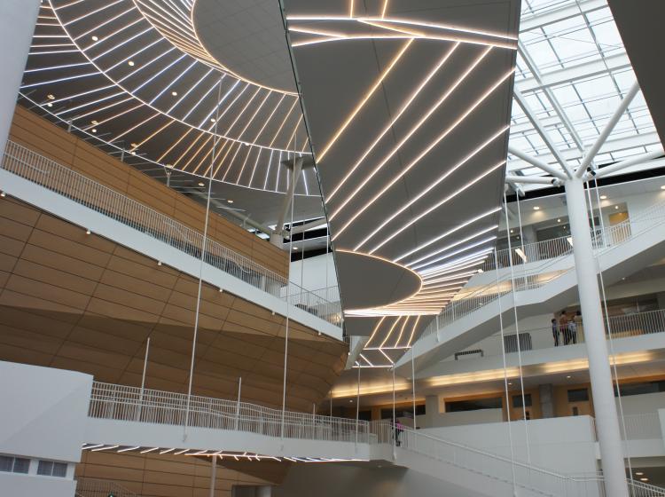 Interior of Robertson Life Sciences Building atrium. Surfaces of the ceiling and elevated walkways are covered in glowing fluorescent bars arranged in parallel or radiating lines.