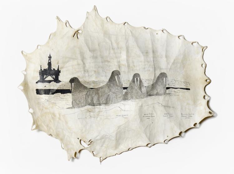 Drawing of four walruses in black and white ink on a piece of off-white seal hide, with a dark oil rig in the background and a dark pool at center.