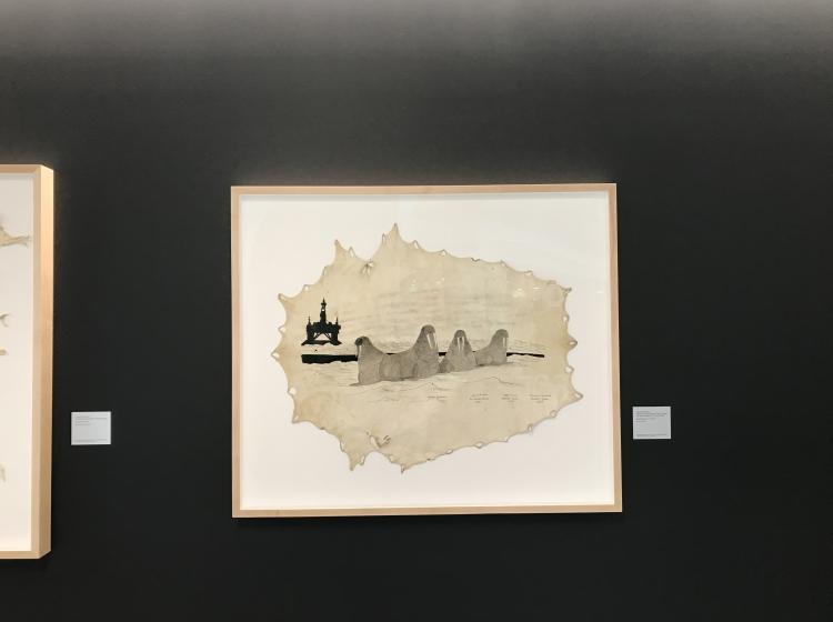 The artwork is framed and hung on a dark grey wall. The seal hide is mounted under glass over a white backing, in a frame of blonde wood.