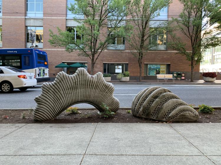 Two granite sculptures sit in the dirt swale between the sidewalk and 6th Avenue. The sculptures are shaped like microscopic organisms, with ridged textures.
